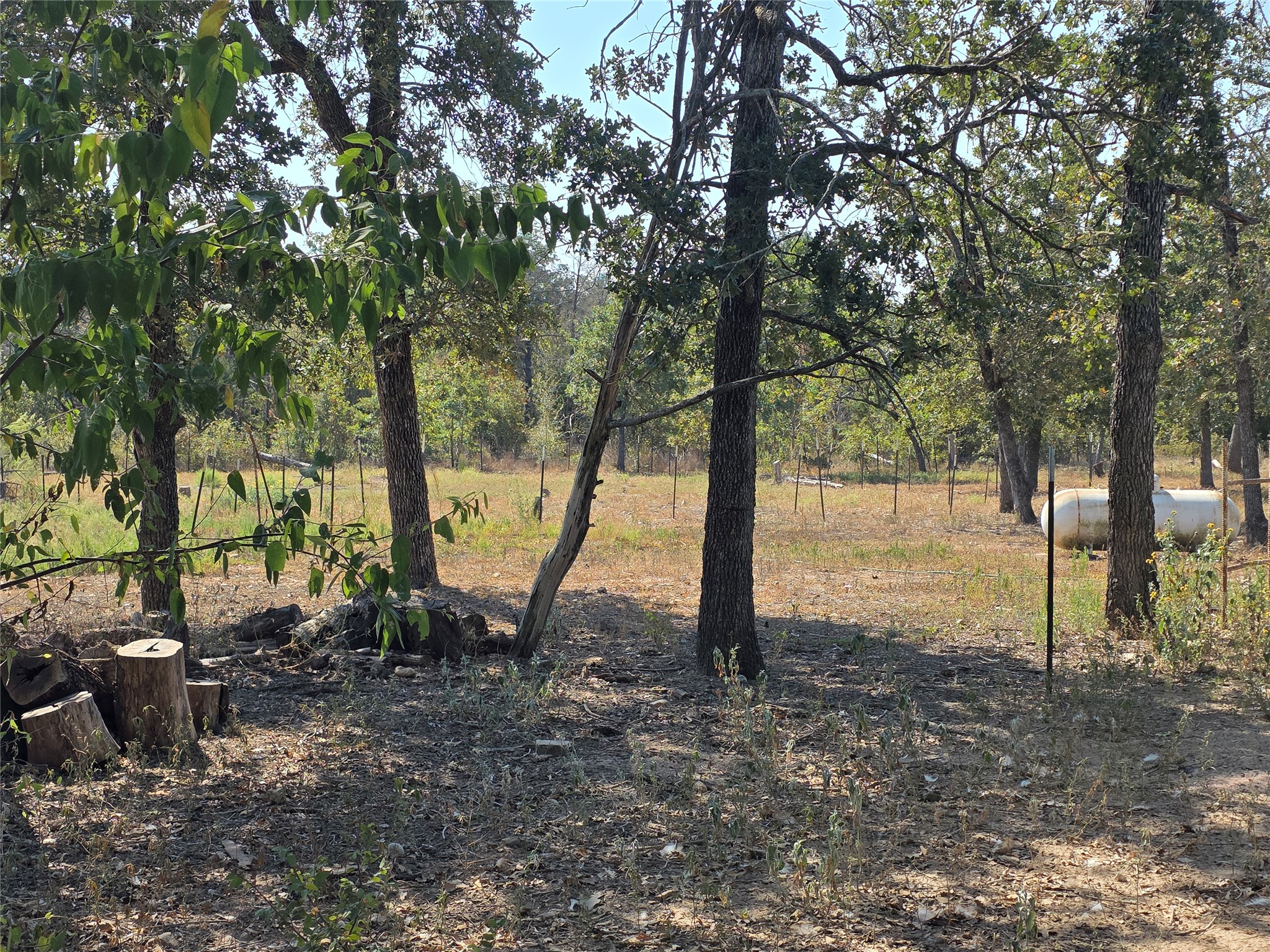 376 Jones Road Cedar Creek, TX 78612 - Photo 27 of 40 a view of outdoor space with green space