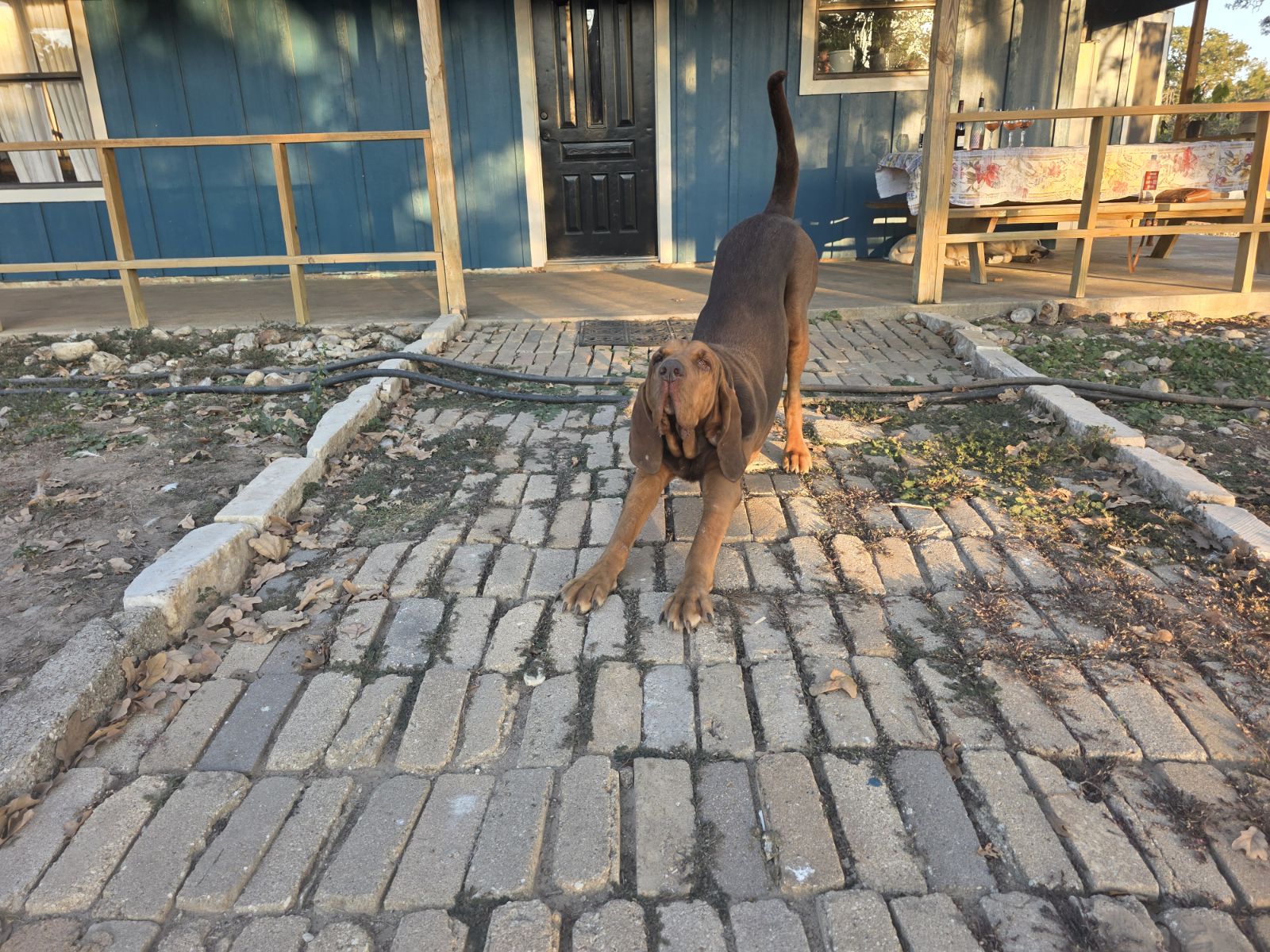 376 Jones Road Cedar Creek, TX 78612 - Photo 40 of 40 a view of outdoor space