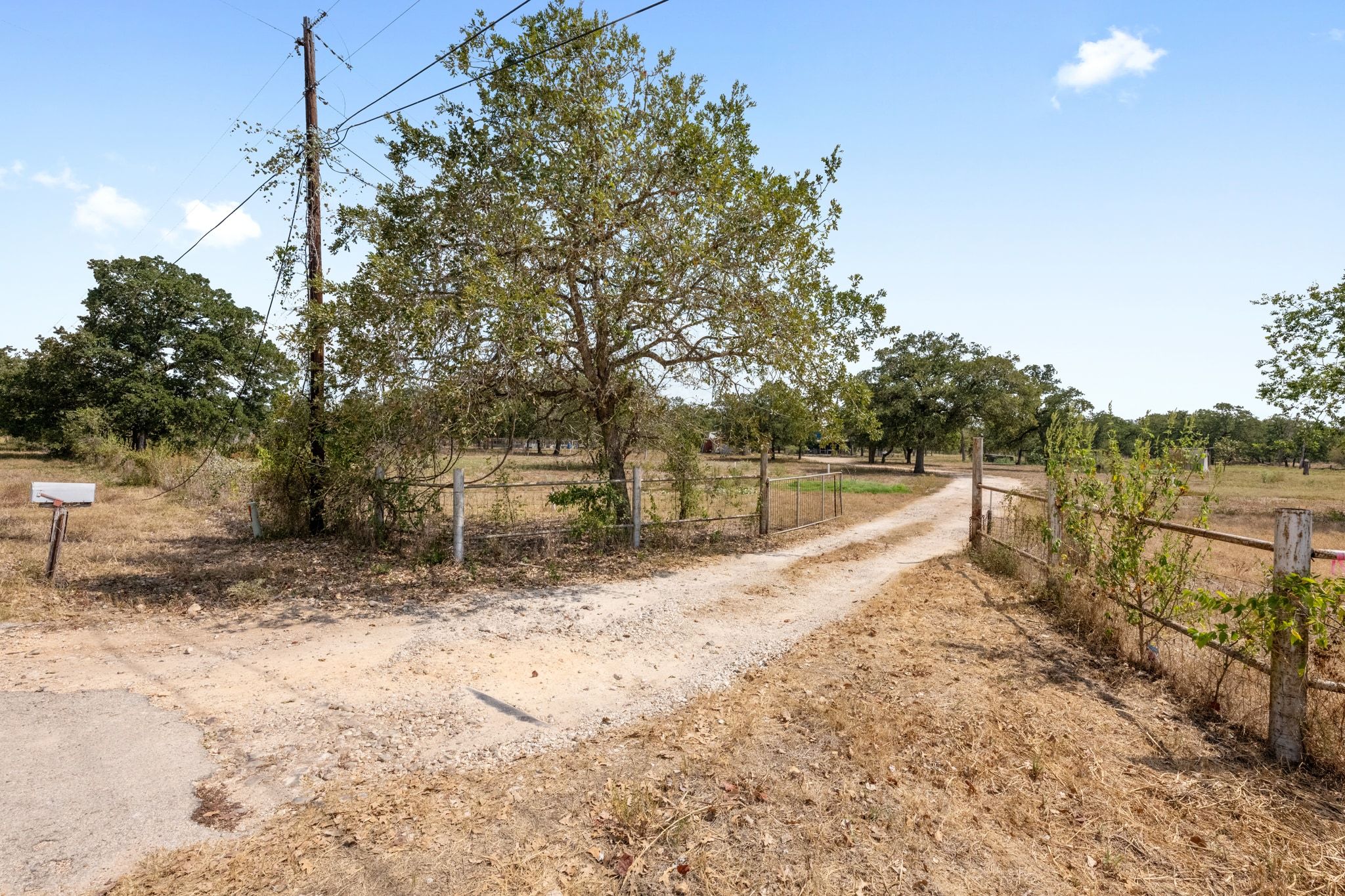 376 Jones Road Cedar Creek, TX 78612 - Photo 4 of 40 a view of a yard with wooden fence