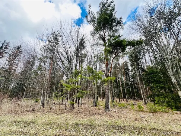 $79,900 | 0 Shero Road, Hamburg, NY 14075