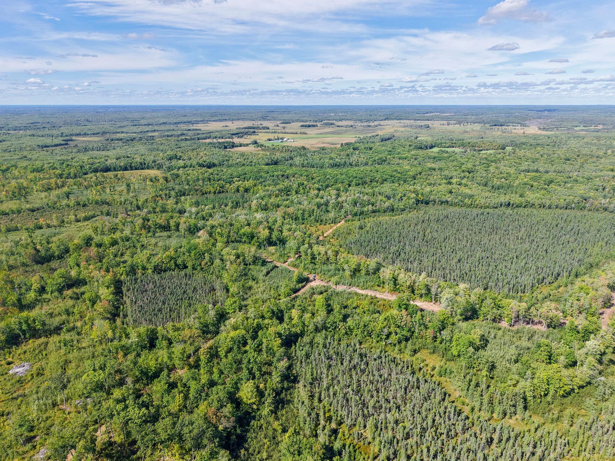 Xxx Fleming Logging Road Hinckley, MN 55037 - Photo 64 of 87 Gallery Image 64