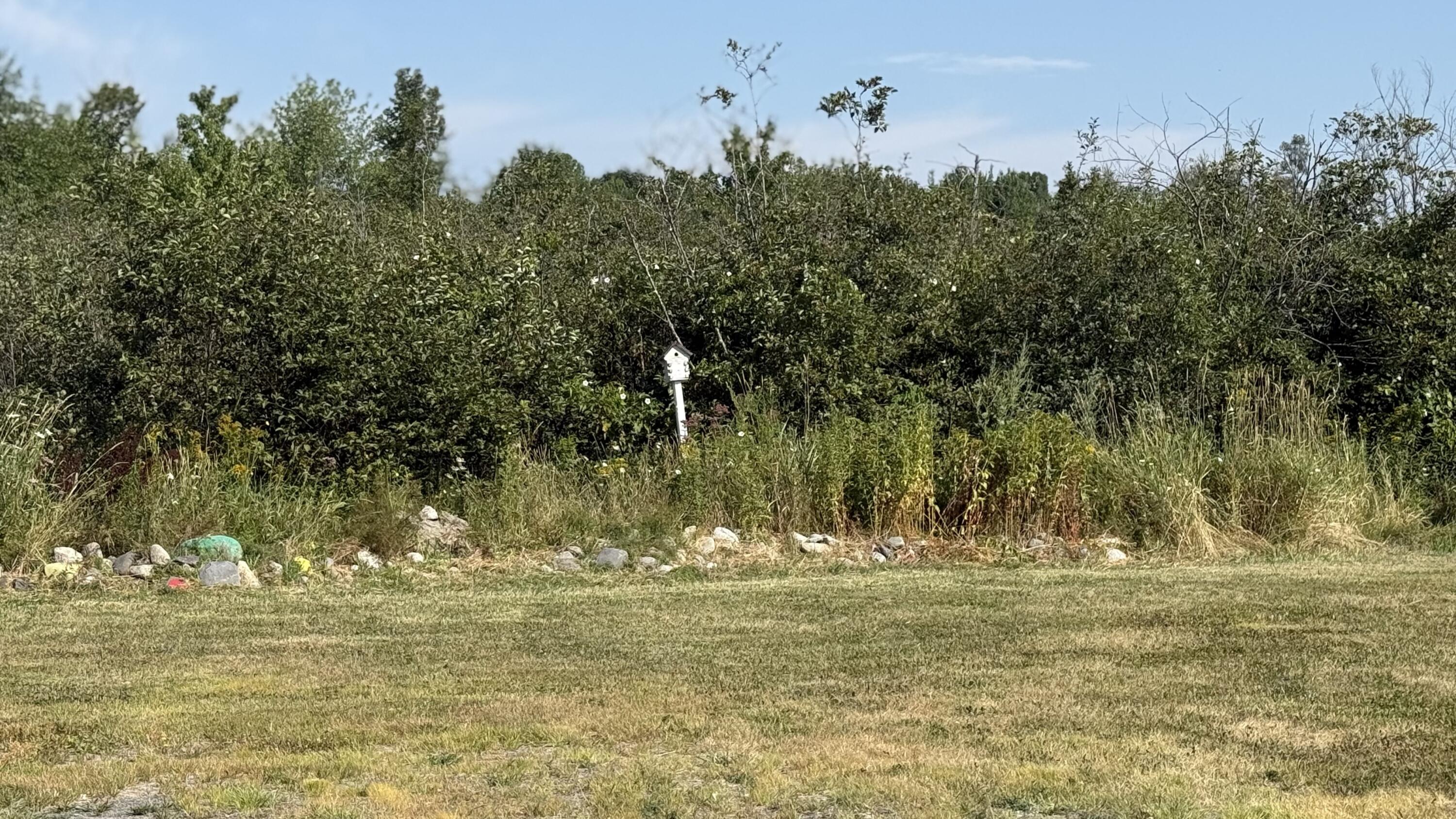 813 Dexter Road Corinna, ME 04928 - Photo 25 of 29 IMG_3925