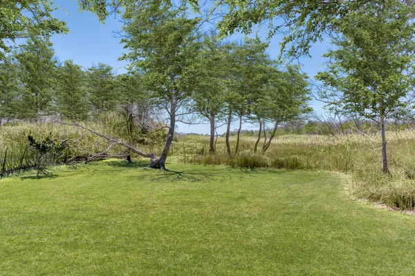 a view of a field with a tree