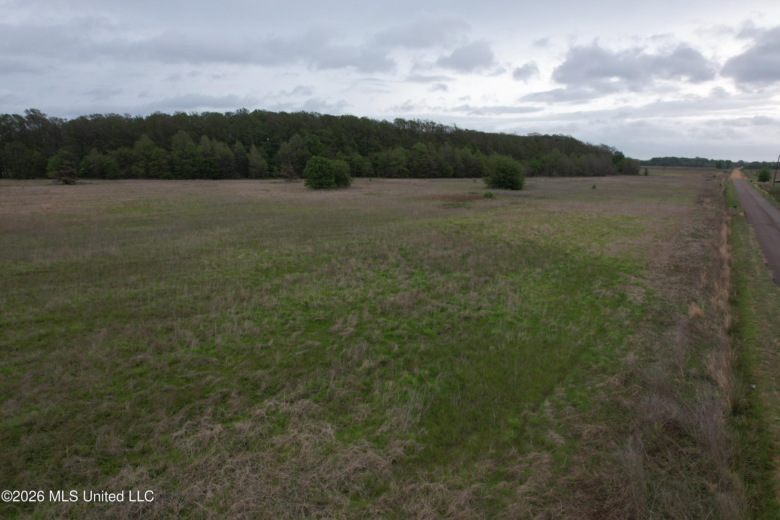 Shaw Road Sledge, MS 38670 - Photo 28 of 45 DJI_0253