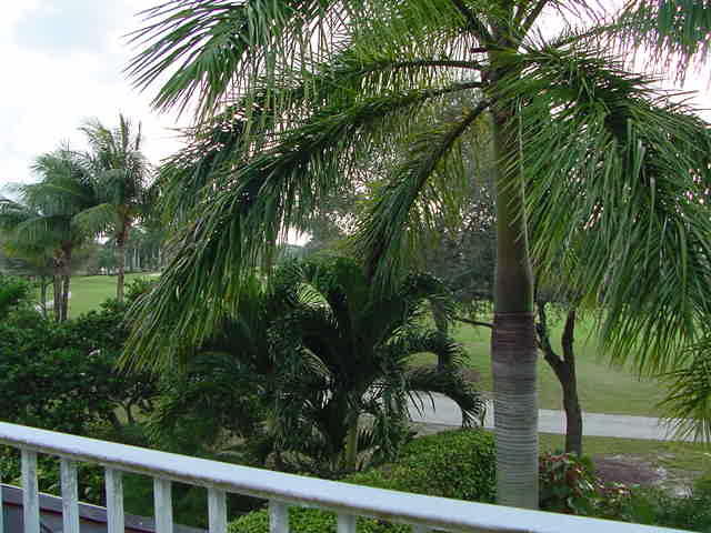 5470 Northwest 41st Terrace Boca Raton, FL 33496 - Photo 21 of 28 View from Balcony of Bedroom 2