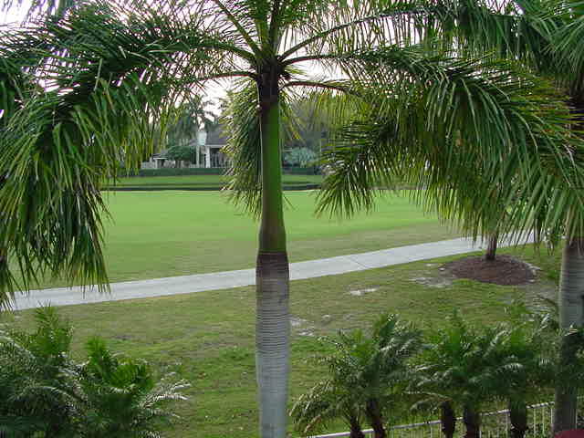 5470 Northwest 41st Terrace Boca Raton, FL 33496 - Photo 4 of 28 View - 2