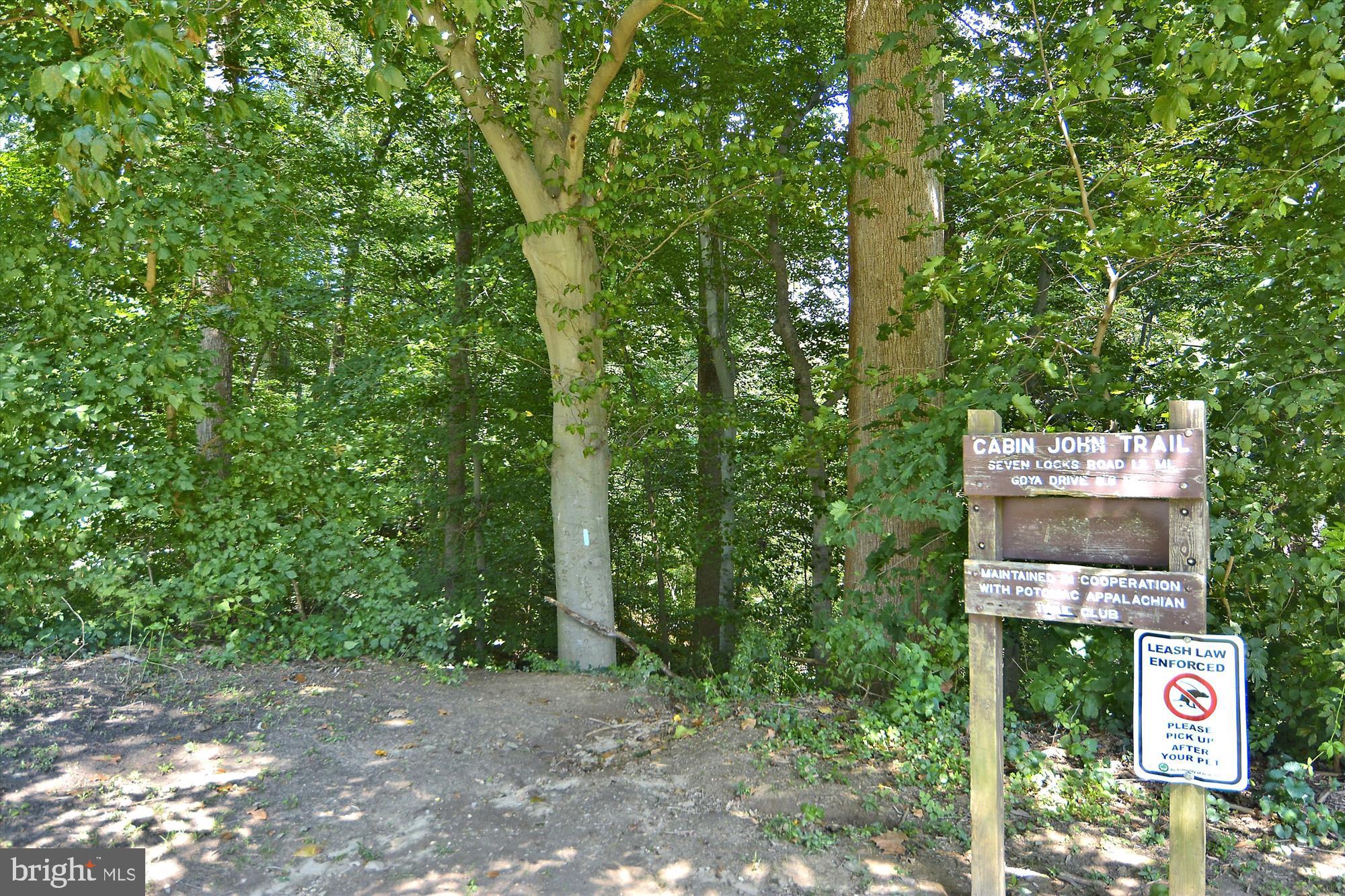 14 Vassar Circle Glen Echo, MD 20812 - Photo 47 of 50