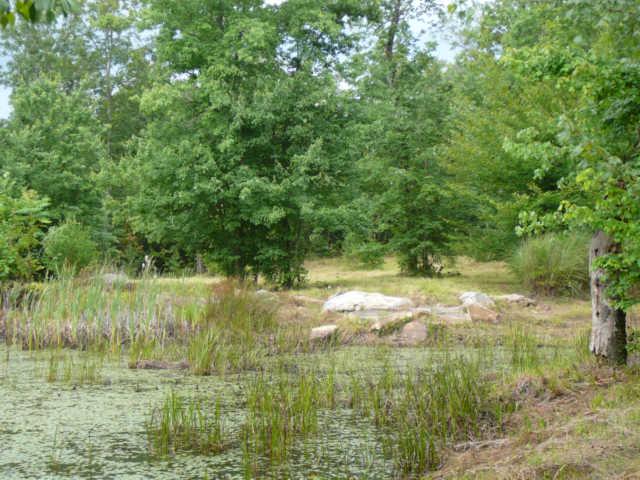 36 Azalea Ridge Road Tracy City, TN 37387 - Photo 8 of 15 Gallery Image 8