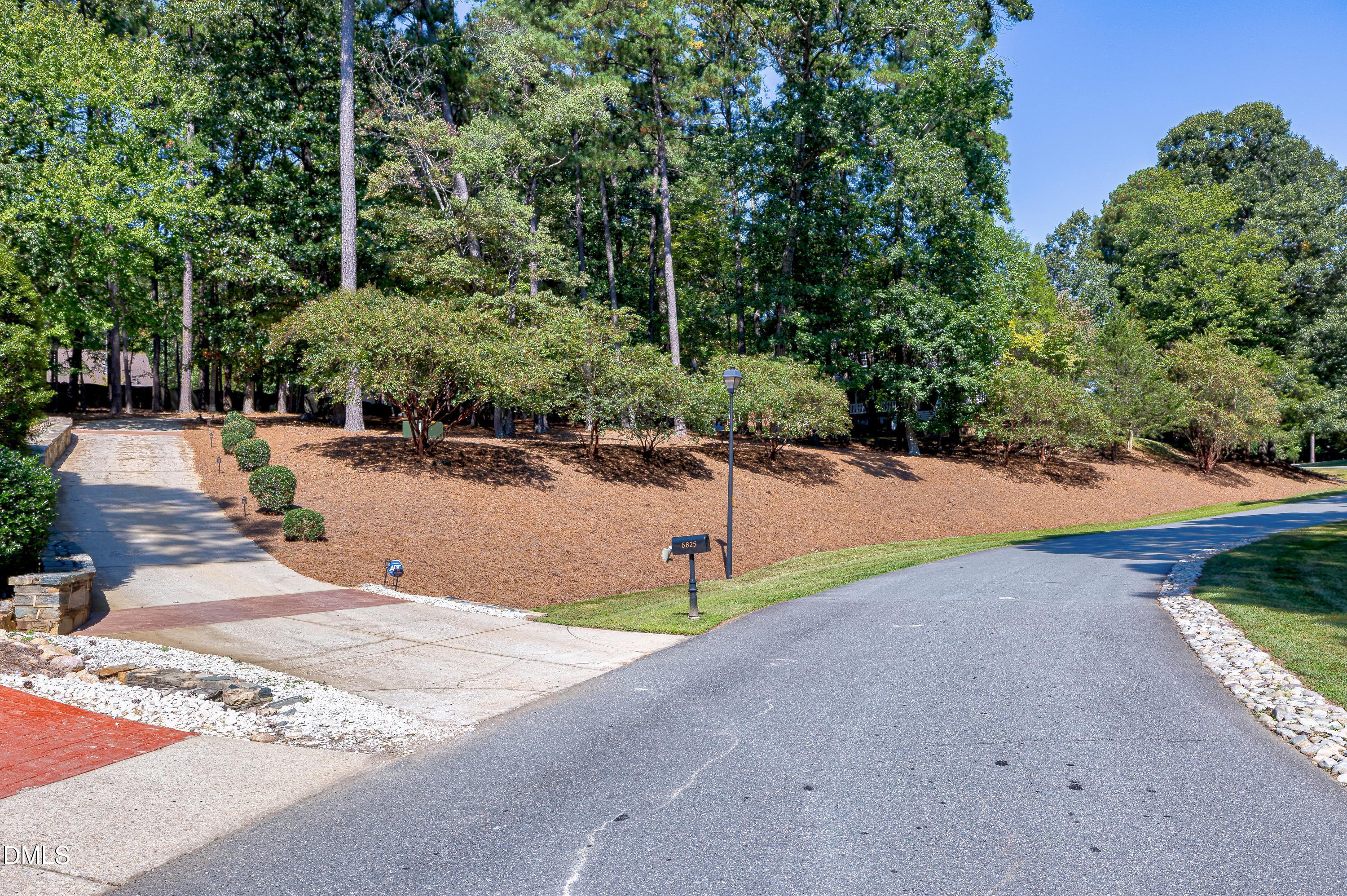 6825 Mactavish Way Raleigh, NC 27613 - Photo 55 of 100 a view of a park with plants and large trees
