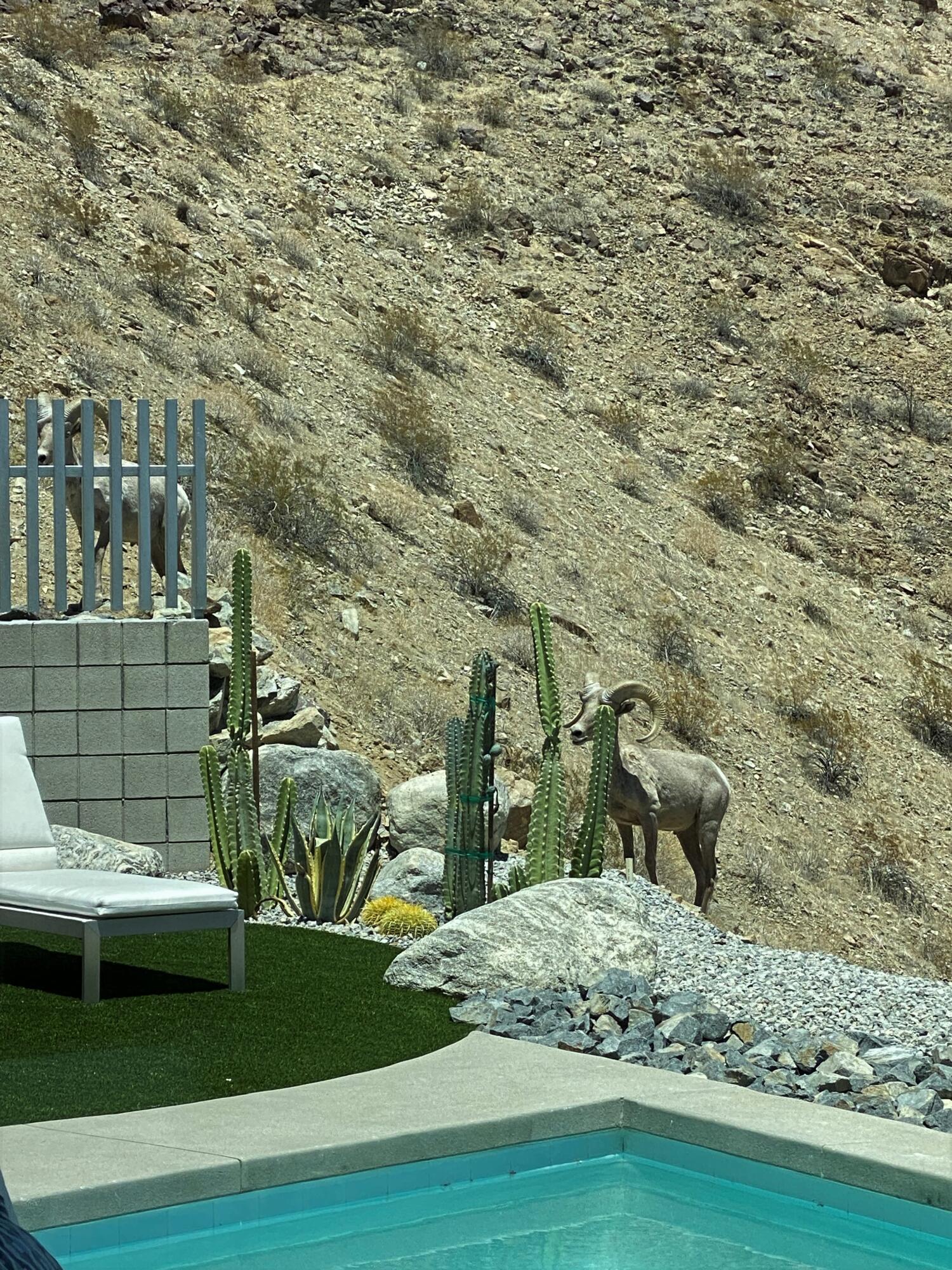 1747 Pinnacle Point Palm Springs, CA 92264 - Photo 44 of 76 z14b (1)