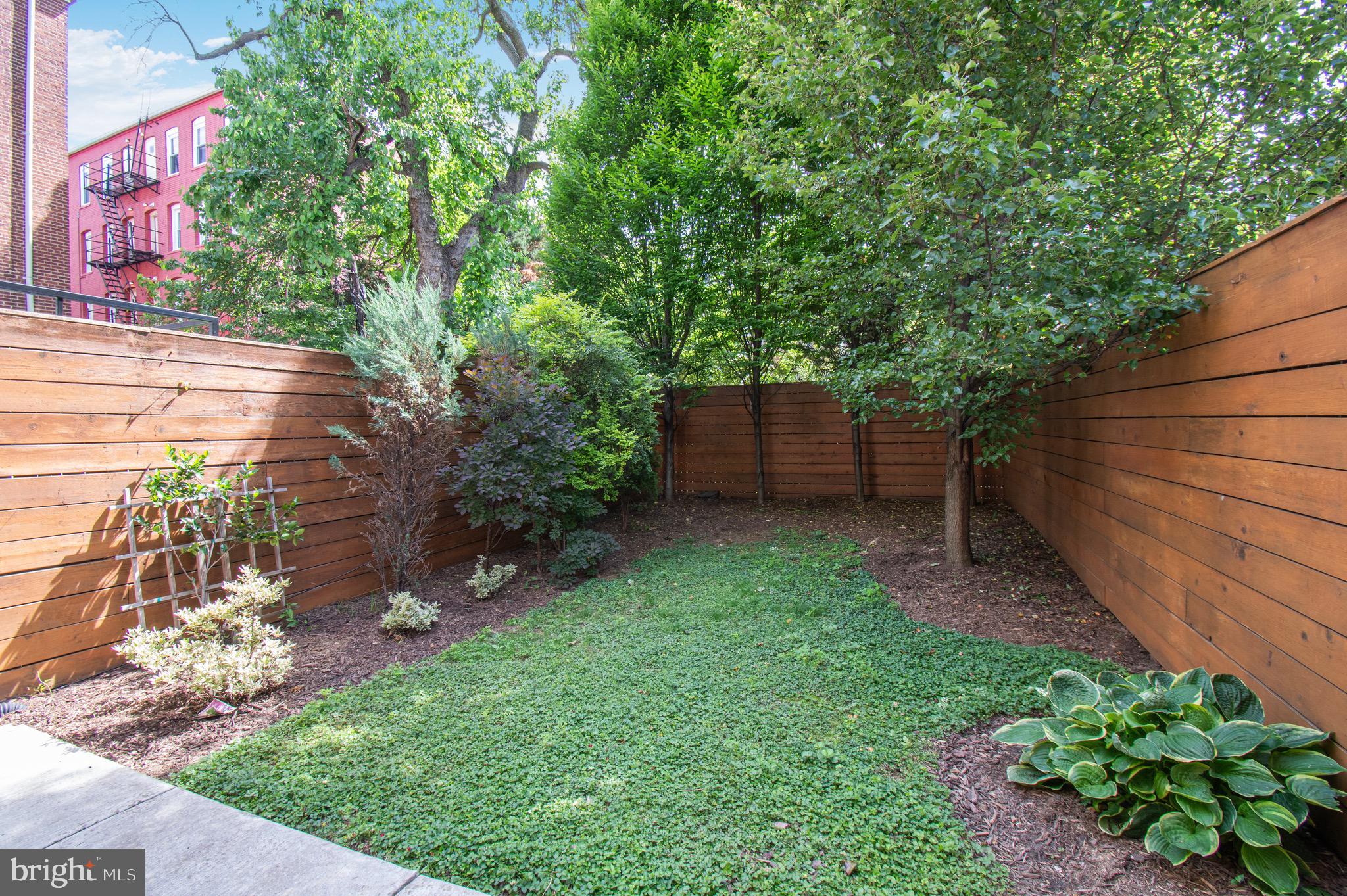 2515 Ontario Road Northwest, Unit 1 Washington, DC 20009 - Photo 15 of 35