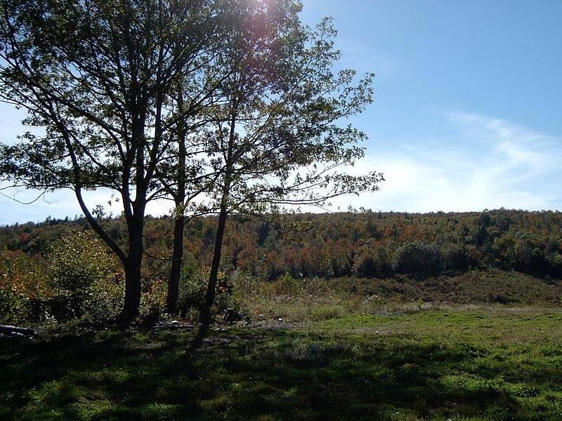 Lot 8 Lyle Hall Road Wilton, ME 04294 - Photo 2 of 9 Photo
