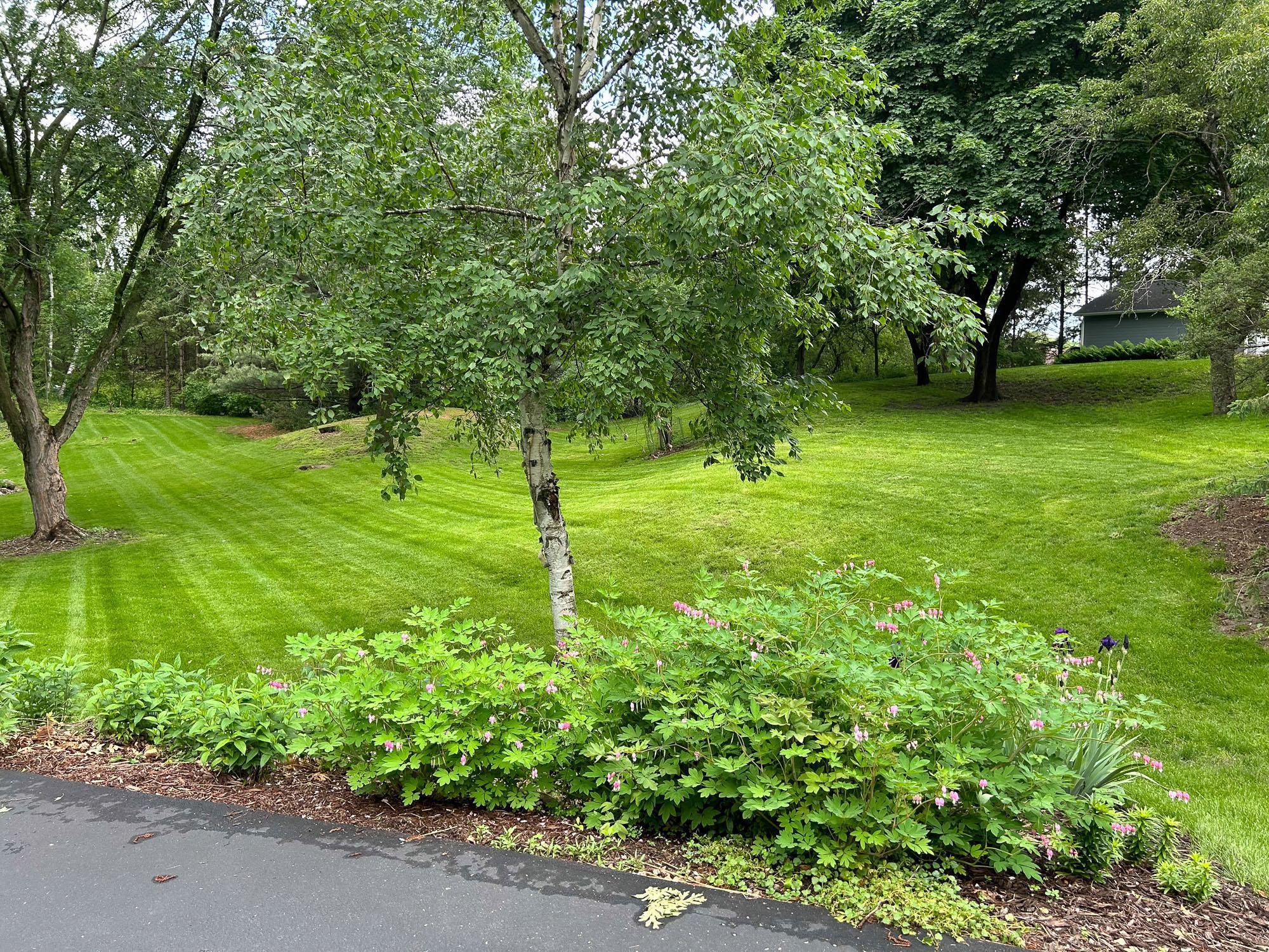 5509 Mayview Road Minnetonka, MN 55345 - Photo 92 of 96 Gallery Image 92