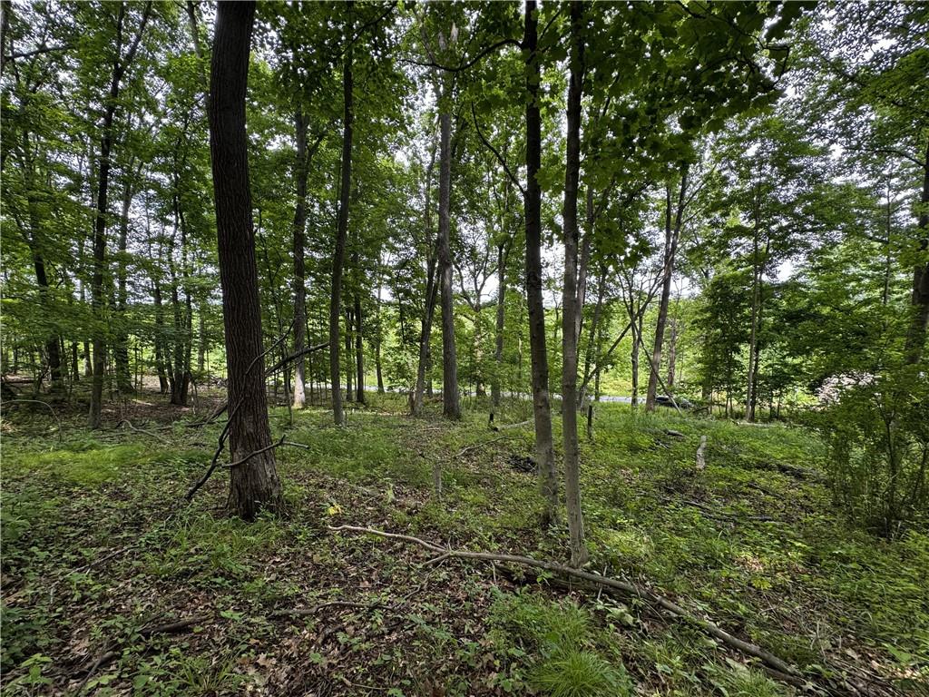 0 Campground Road West Middlesex, PA 16159 - Photo 11 of 12