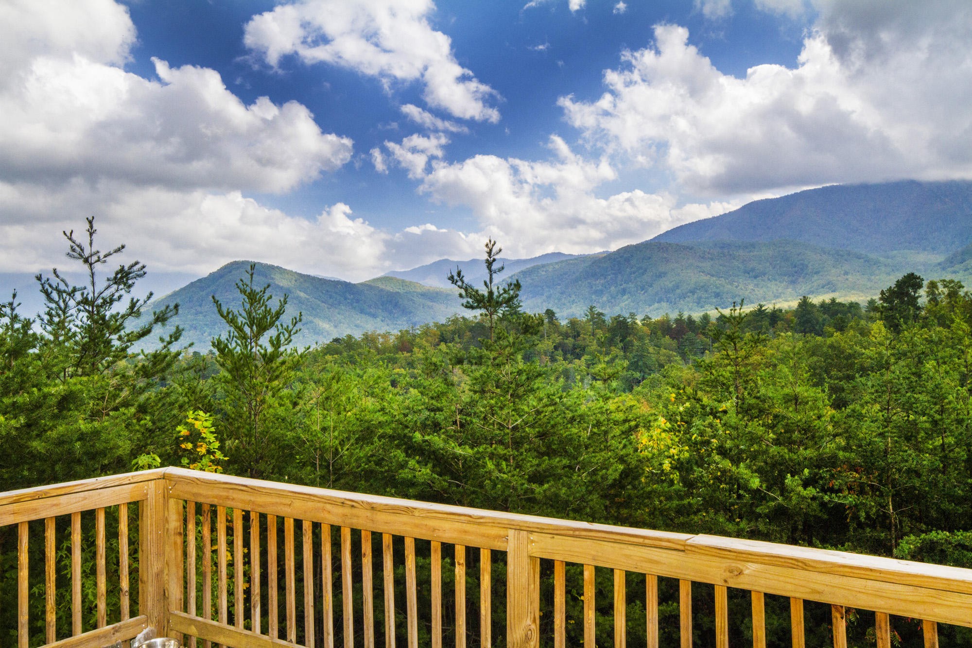 352 Costner Road Cosby, TN 37722 - Photo 33 of 37 Gallery Image 33