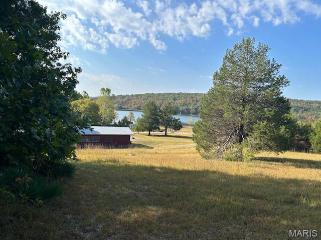 282 Gum Tree Road Middle Brook, MO 63656 - Photo 33 of 36