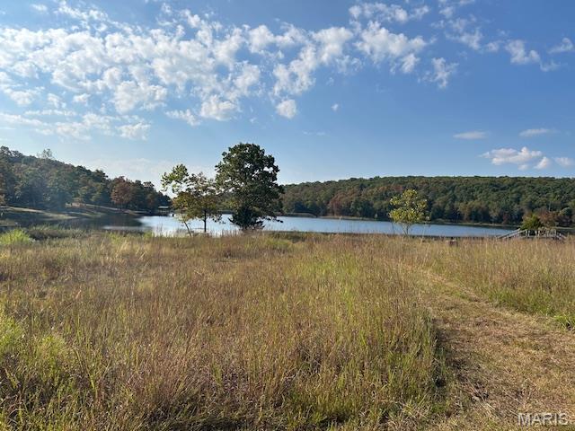 282 Gum Tree Road Middle Brook, MO 63656 - Photo 35 of 36