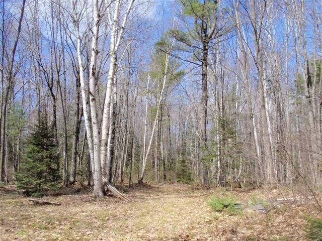9 Francisco Road, Unit LOT Eagle River, WI 54521 - Photo 11 of 19 Gallery Image 11