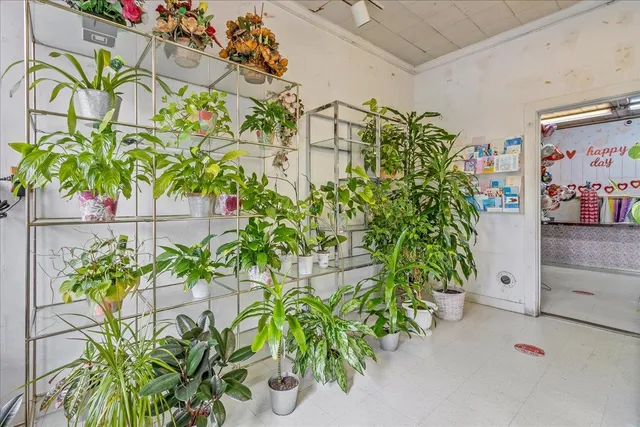 a potted plant sitting in front of a building