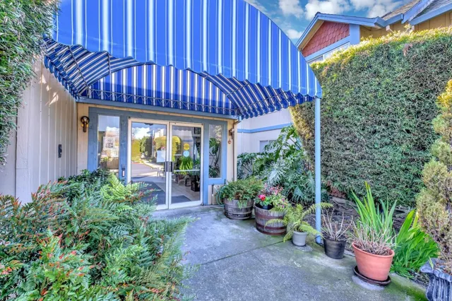 a view of a patio with plants and chairs