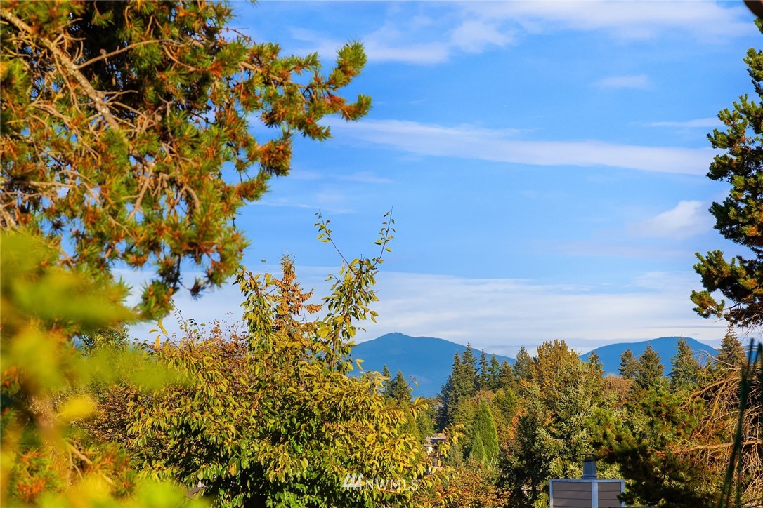 1732 Beacon Way Southeast Renton, WA 98058 - Photo 28 of 30 Gallery Image 28