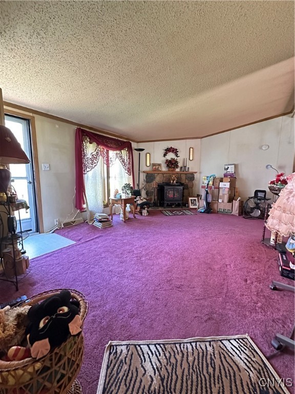 255 Holley Hole Road Constantia, NY 13044 - Photo 16 of 24 living room