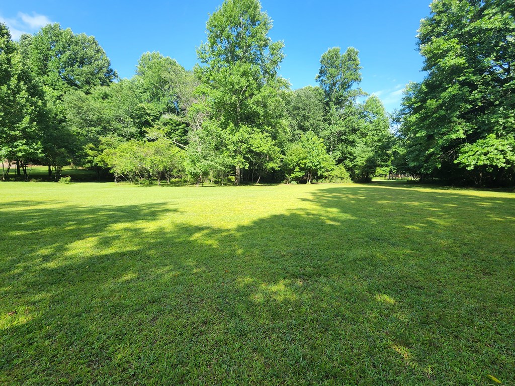 3.2-ac Stanley Creek Road Cherry Log, GA 30522 - Photo 11 of 28
