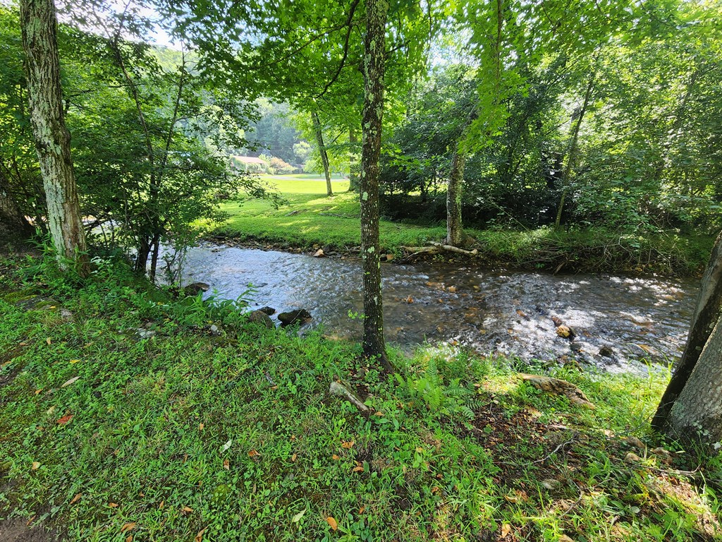 3.2-ac Stanley Creek Road Cherry Log, GA 30522 - Photo 12 of 28