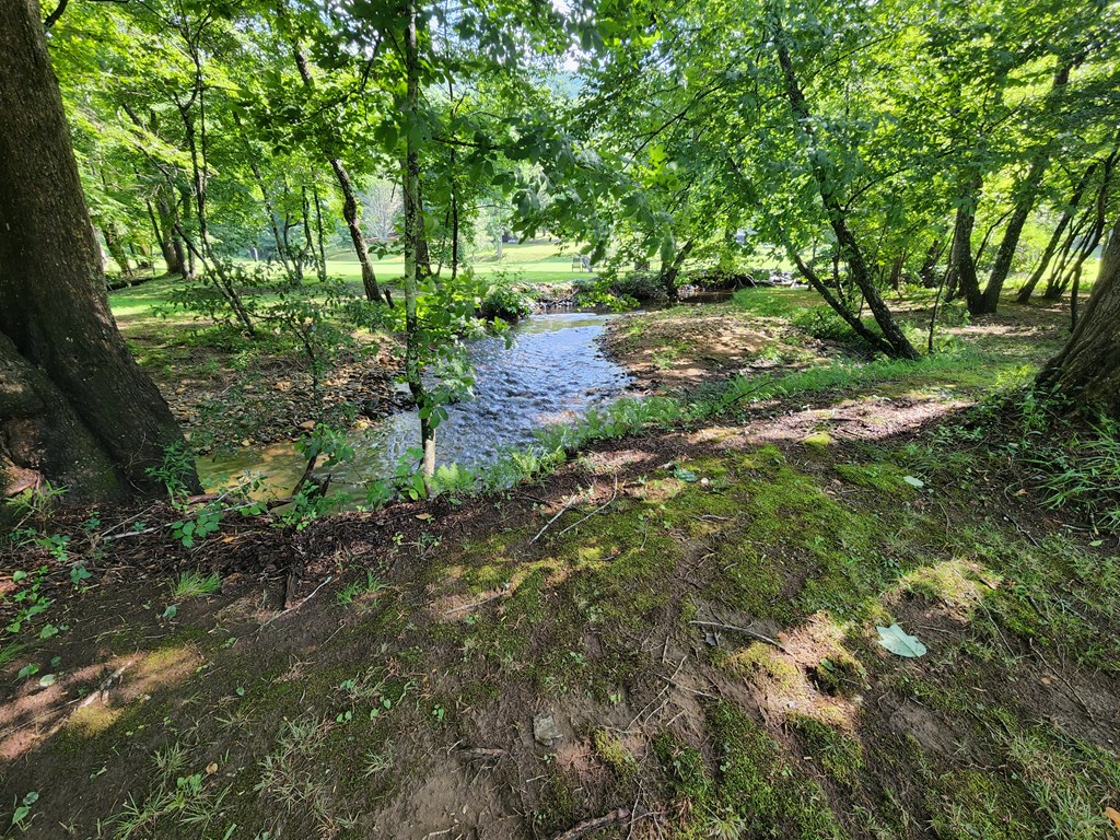 3.2-ac Stanley Creek Road Cherry Log, GA 30522 - Photo 13 of 28
