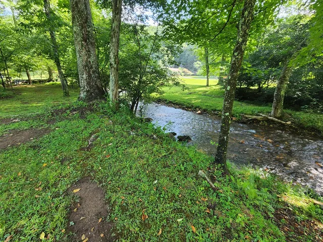 a view of a backyard
