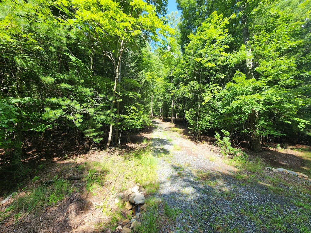 3.2-ac Stanley Creek Road Cherry Log, GA 30522 - Photo 15 of 28