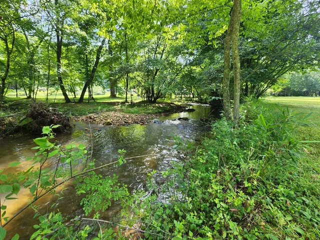 a green field with lots of trees in it