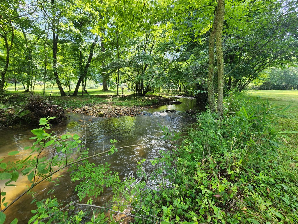 3.2-ac Stanley Creek Road Cherry Log, GA 30522 - Photo 16 of 28