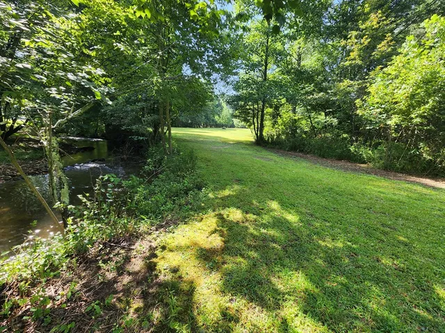 a view of yard with green space