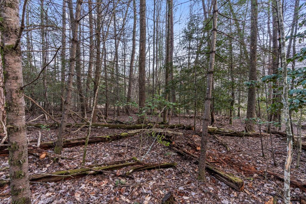 3.2-ac Stanley Creek Road Cherry Log, GA 30522 - Photo 20 of 28