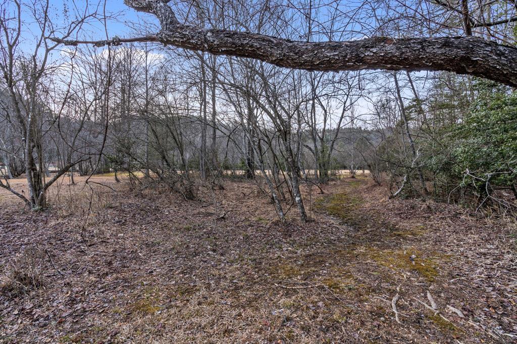 3.2-ac Stanley Creek Road Cherry Log, GA 30522 - Photo 21 of 28