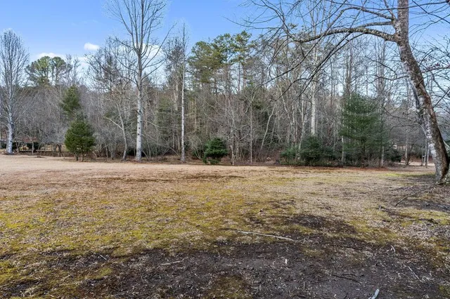 a backyard of a house with lots of green space