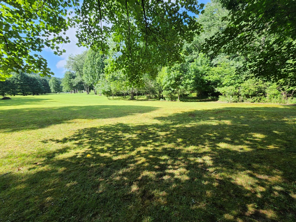 3.2-ac Stanley Creek Road Cherry Log, GA 30522 - Photo 4 of 28