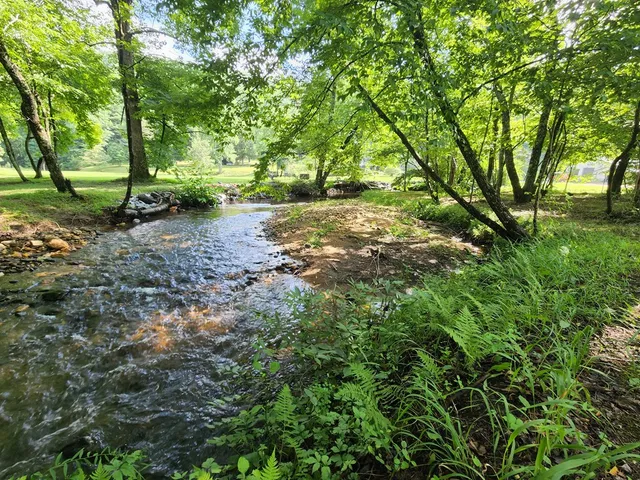 a view of backyard with green space
