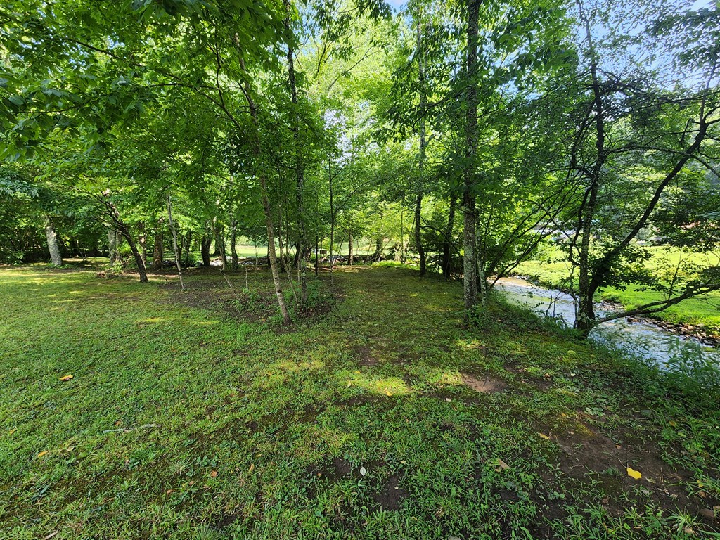 3.2-ac Stanley Creek Road Cherry Log, GA 30522 - Photo 6 of 28