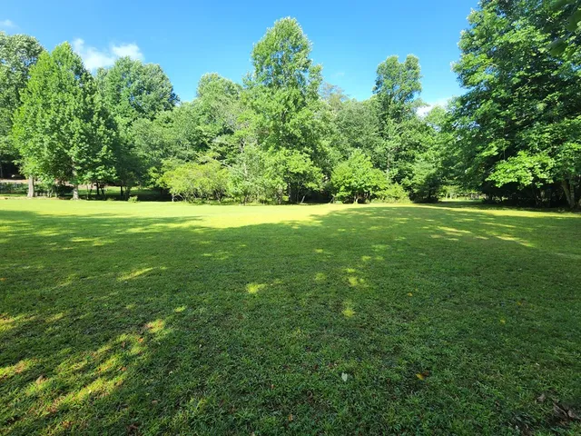 a backyard of a house with lots of green space
