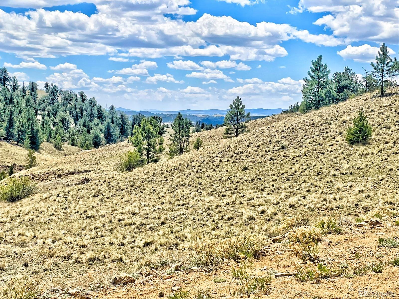 243 June Lane Hartsel, CO 80449 - Photo 1 of 23