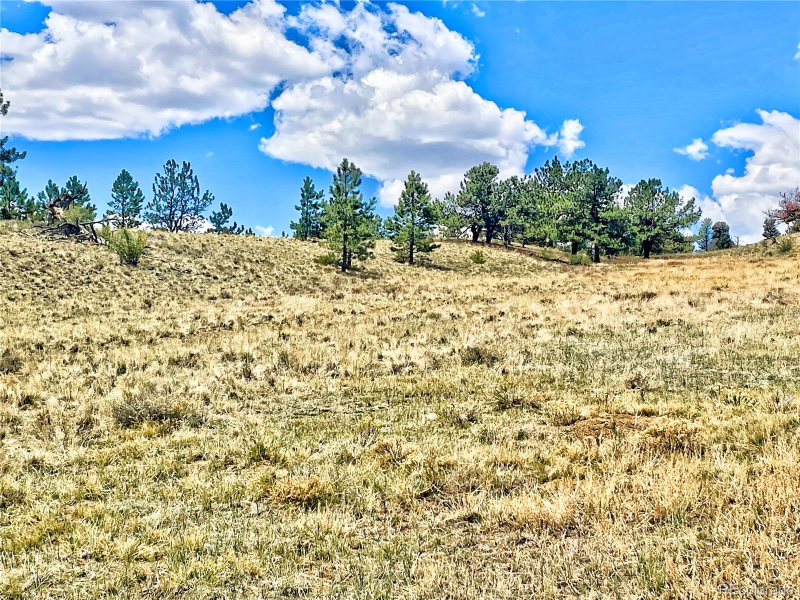 243 June Lane Hartsel, CO 80449 - Photo 11 of 23