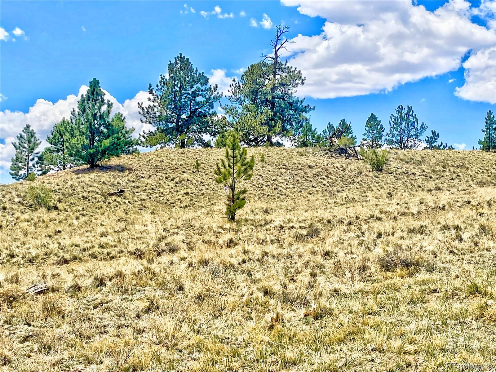243 June Lane Hartsel, CO 80449 - Photo 12 of 23