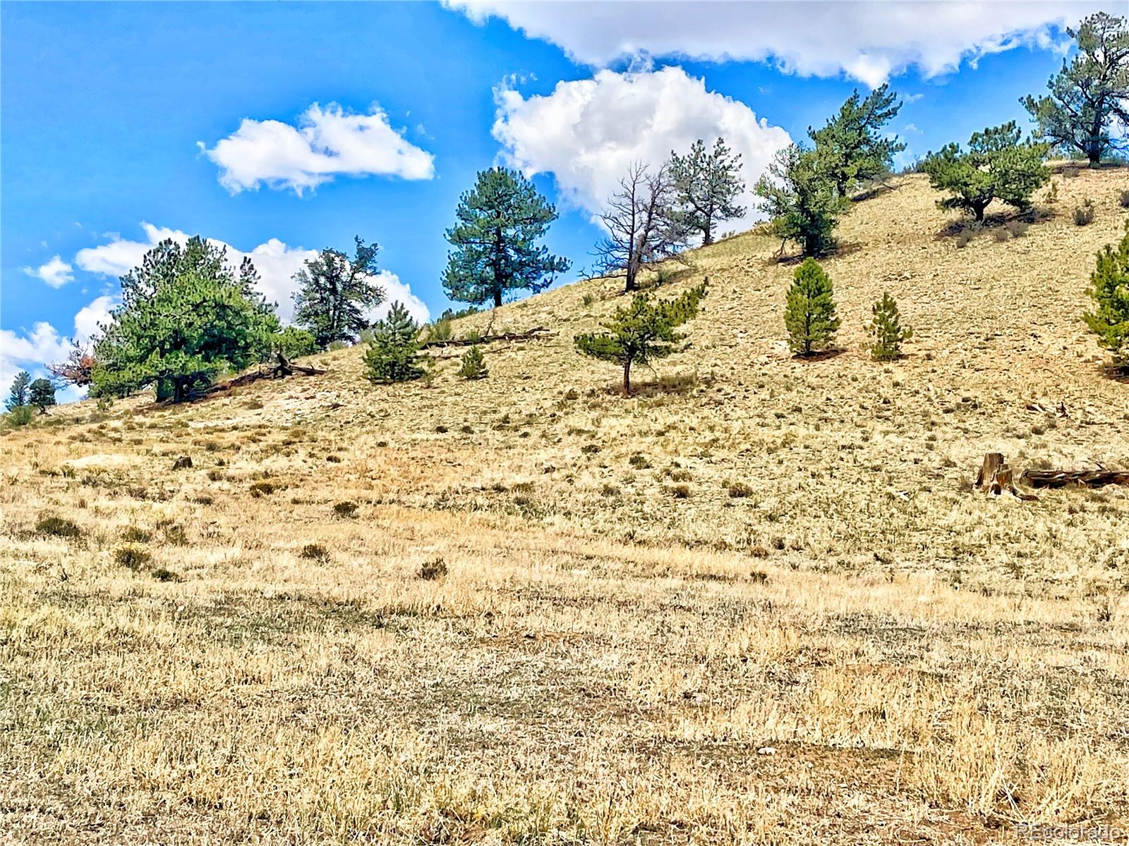 243 June Lane Hartsel, CO 80449 - Photo 13 of 23