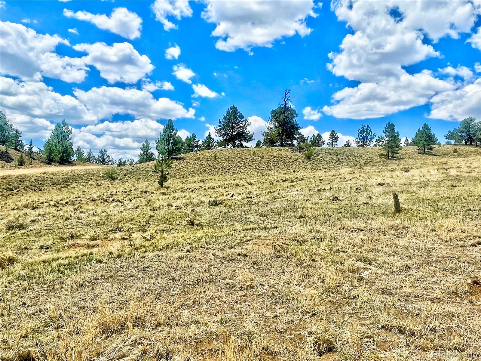 243 June Lane Hartsel, CO 80449 - Photo 15 of 23