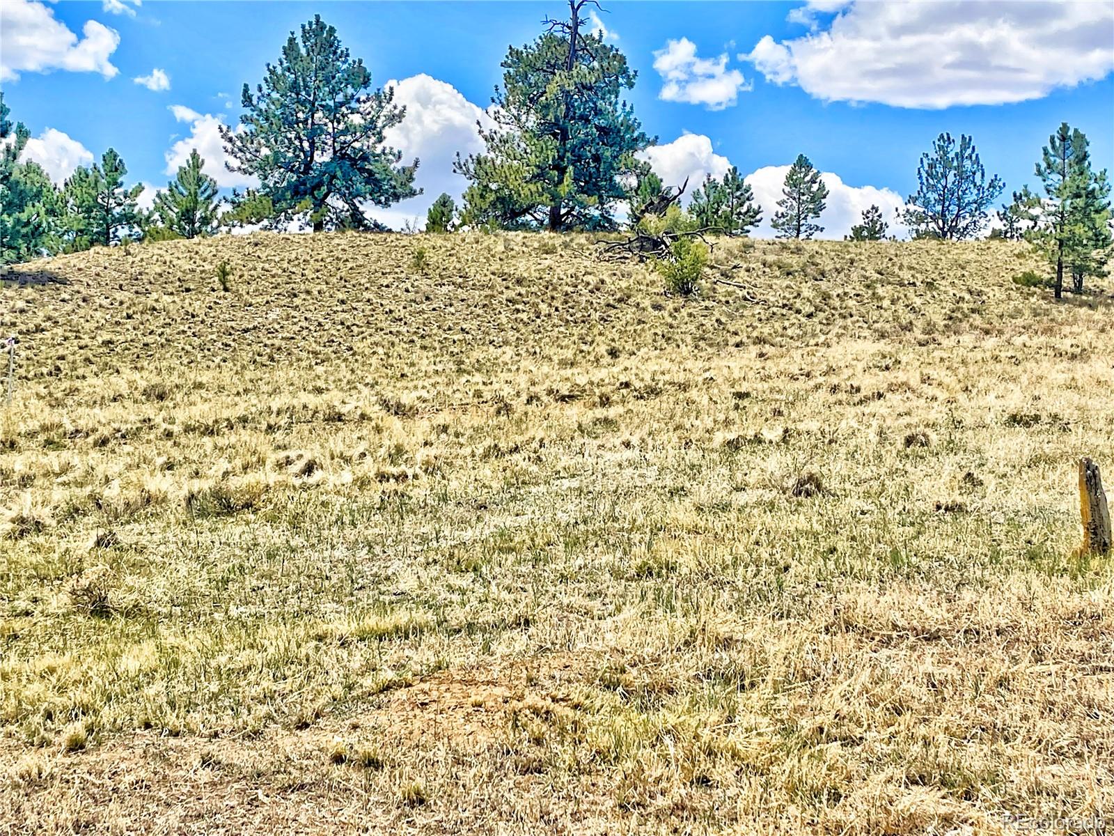 243 June Lane Hartsel, CO 80449 - Photo 16 of 23