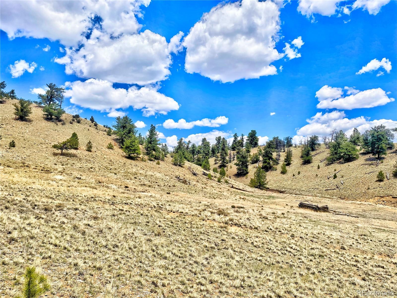 243 June Lane Hartsel, CO 80449 - Photo 17 of 23