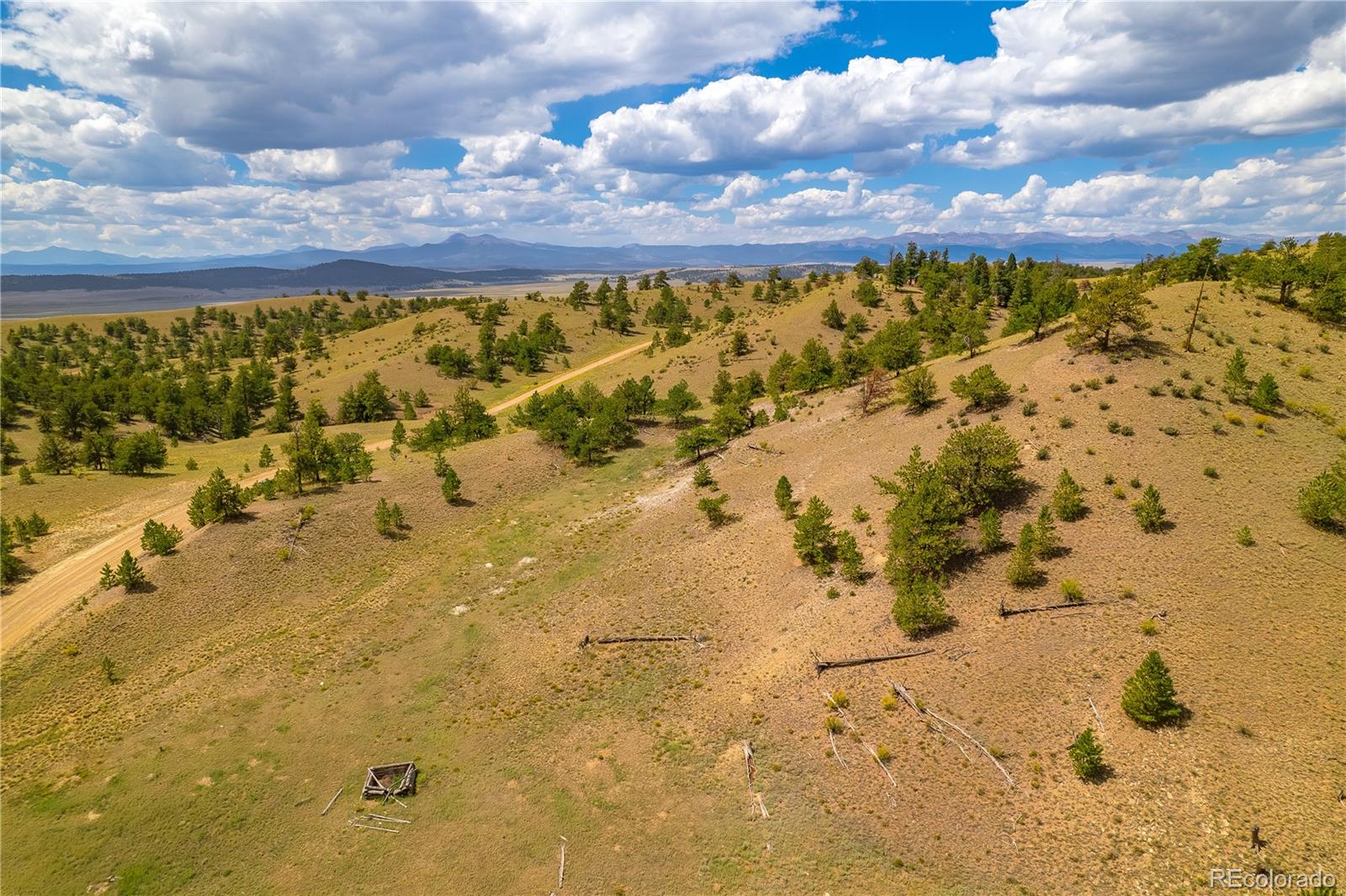 243 June Lane Hartsel, CO 80449 - Photo 20 of 23