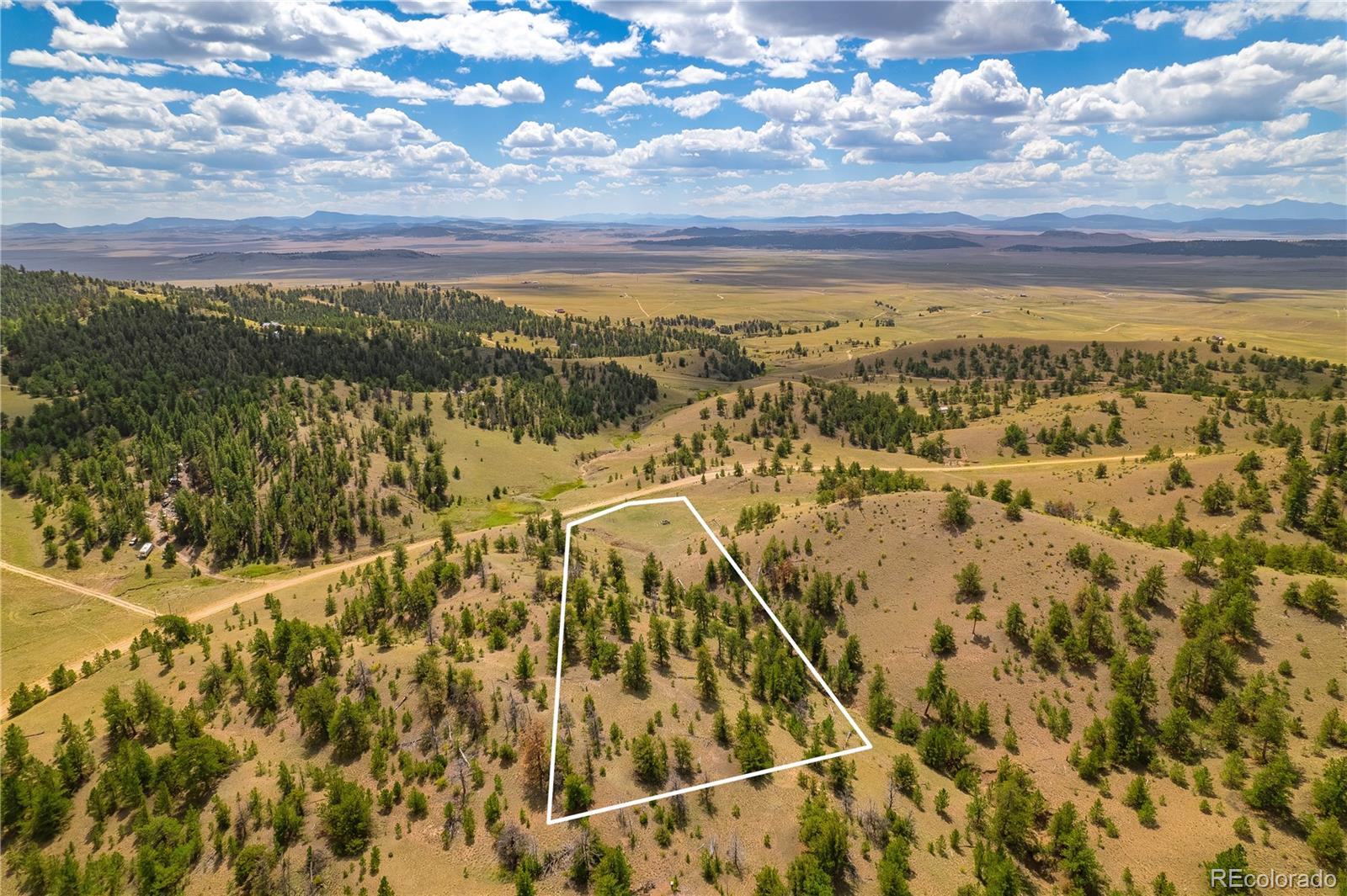 243 June Lane Hartsel, CO 80449 - Photo 2 of 23